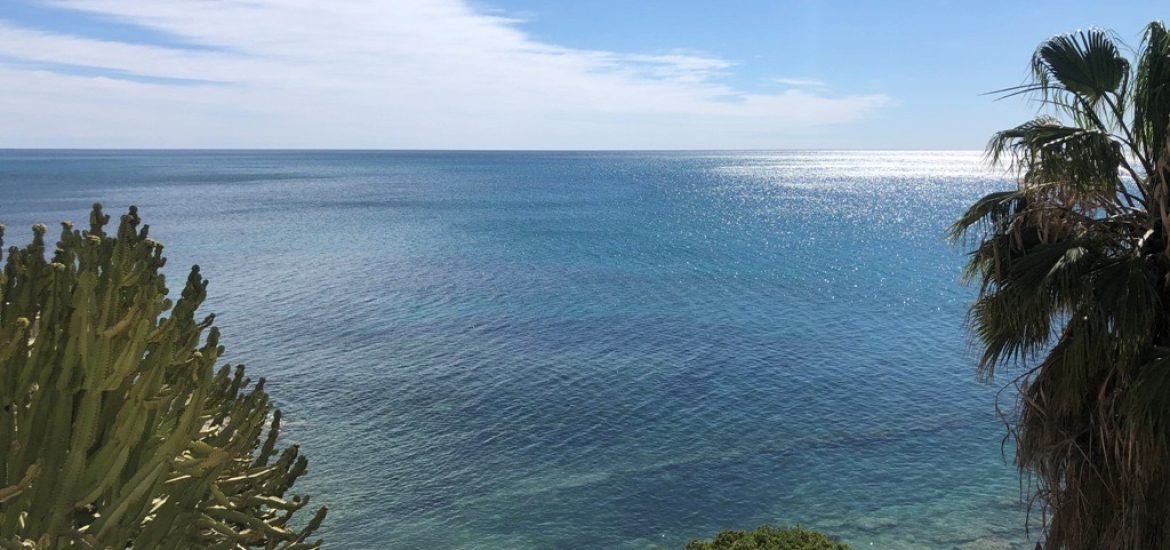 image1 en tamaño grande